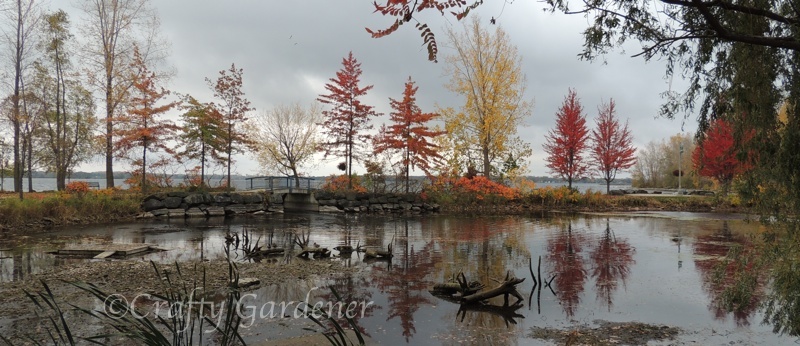 reflections in colour down by the bay - craftygardener.ca