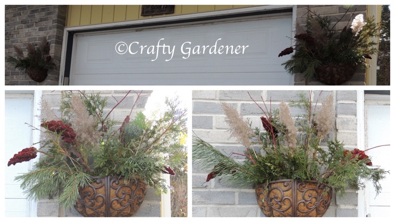 winter greenery pots at craftygardener.ca