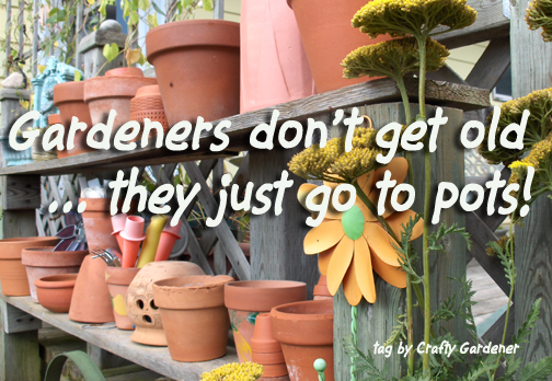 Gardeners don't get old ... they go to pots!
