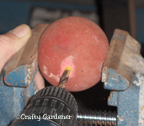 a mini gazing ball made from a rubber ball and flat sided marbles/gems at craftygardener.ca