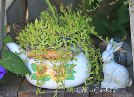 craf-tea planters from craftygardener.ca