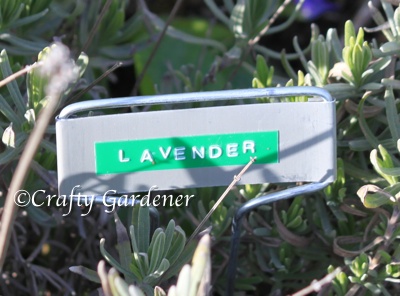 Plant Markers That Last