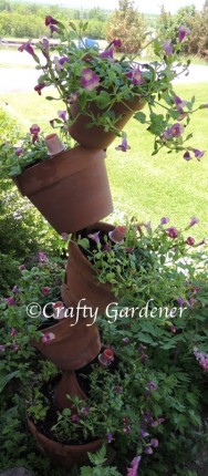 tipsy pots planted with torenia
