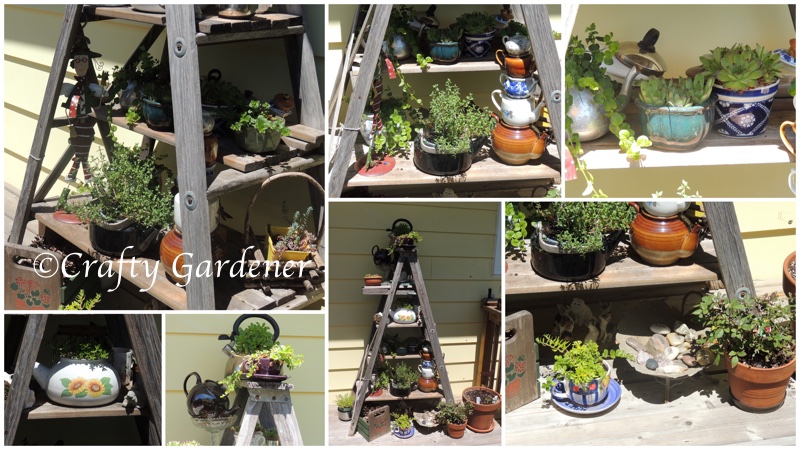 the ladder planter at craftygardener.ca