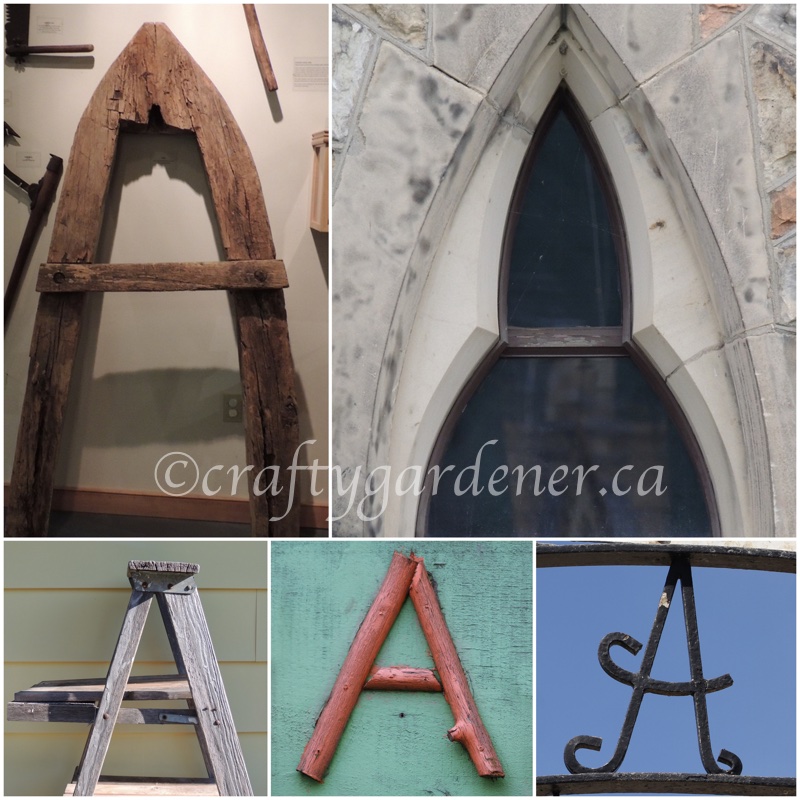 alphabet photos at craftygardener.ca