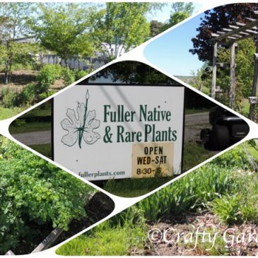 Fuller Native and Rare Plants