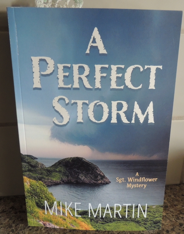 A Perfect Storm by Mike Martin