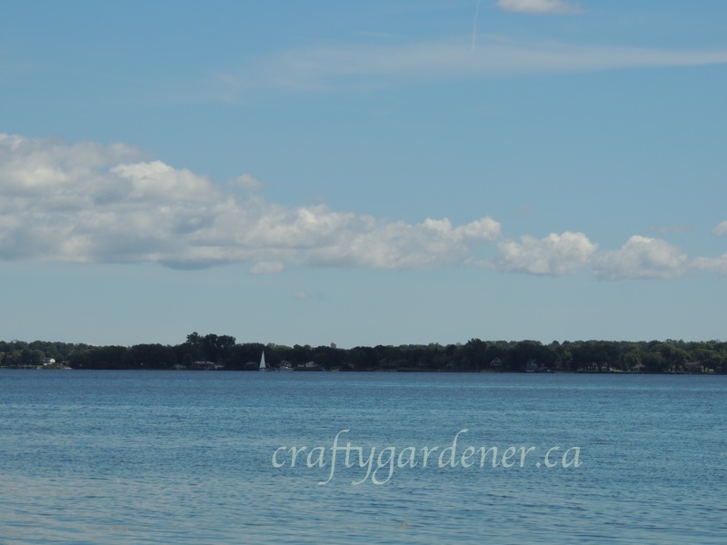 down by the bay August 2014, craftygardener.ca