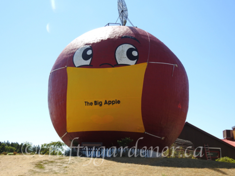 The Big Apple wearing a mask, photo taken by craftygardener.ca