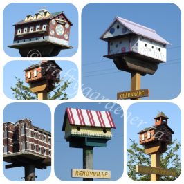 Birdhouse City in Picton Ontario