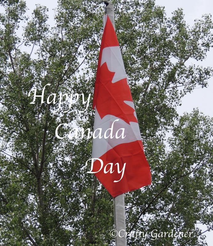 The Canada flag flies proudly in our garden all year round.