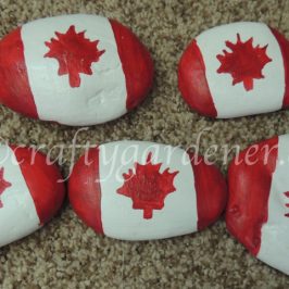 how to paint Canada flag rocks at craftygardener.ca