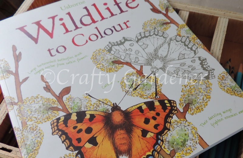adult colouring book at craftygardener.ca