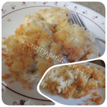 Recipes:  Macaroni & Cheese
