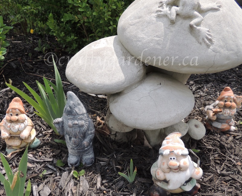 gnomes in the garden at craftygardener.ca