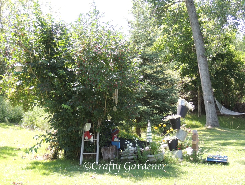 the honeysuckle garden at craftygardener.ca