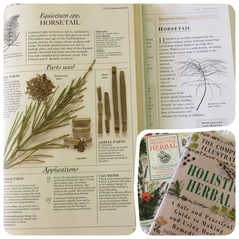 herbal books at craftygardener.ca