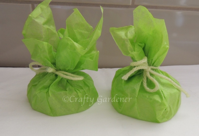 soap with an incentive at craftygardener.ca