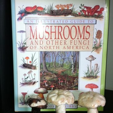 Garden Books – Fungi and Mushrooms