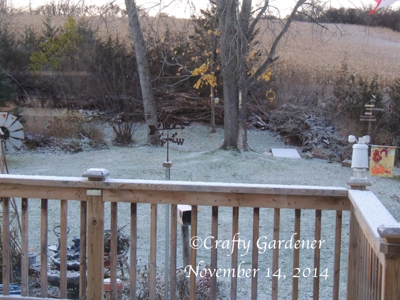 November 14, 2014 - first snowfall at craftygardener.ca