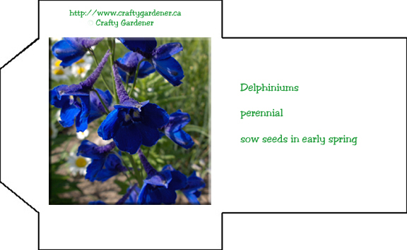 Seed Packet Printable Delphiniums