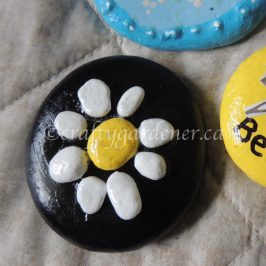 how to make a pebble art daisy at craftygardener.ca