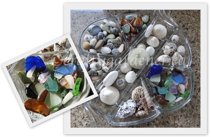 displaying the sea glass, shells and rocks at craftygardener.ca