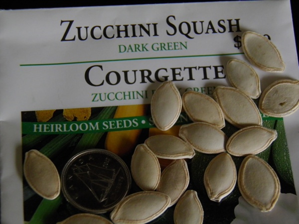 zucchini seeds - info from craftygardener.ca