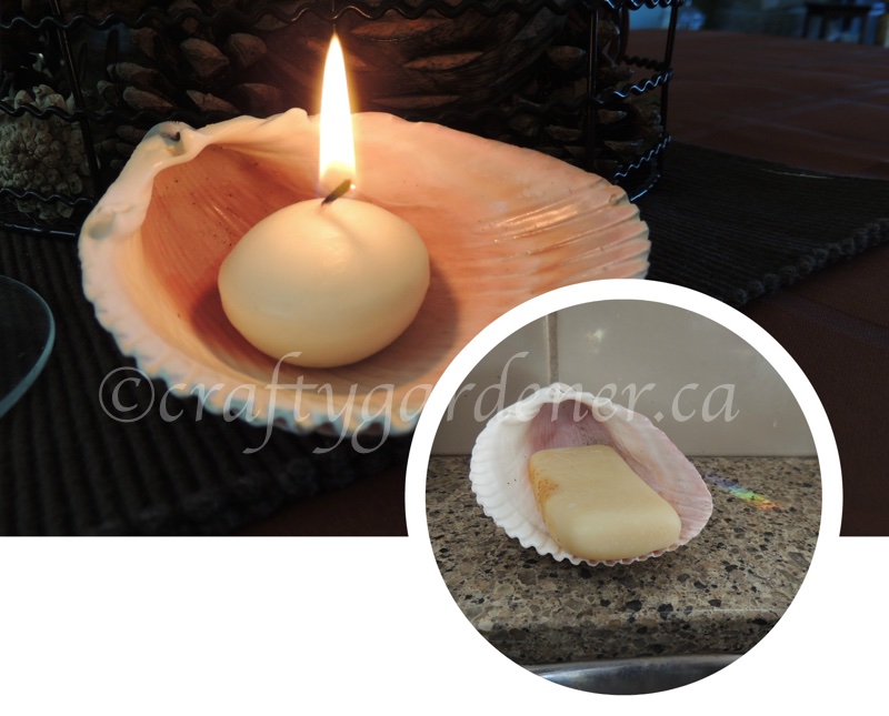 the shell collection at craftygardener.ca