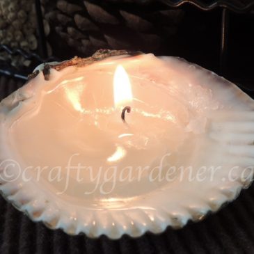 How to Make Shell Candles