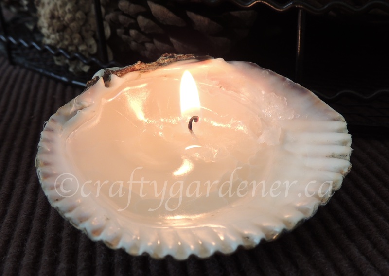 making shell candles at craftygardener.ca