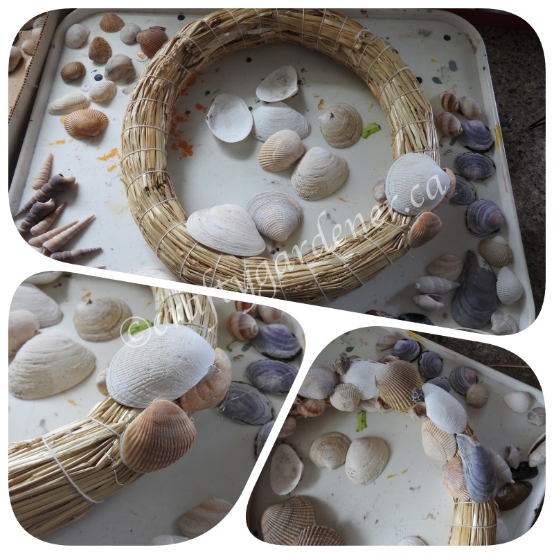 making a shell wreath at craftygardener.ca