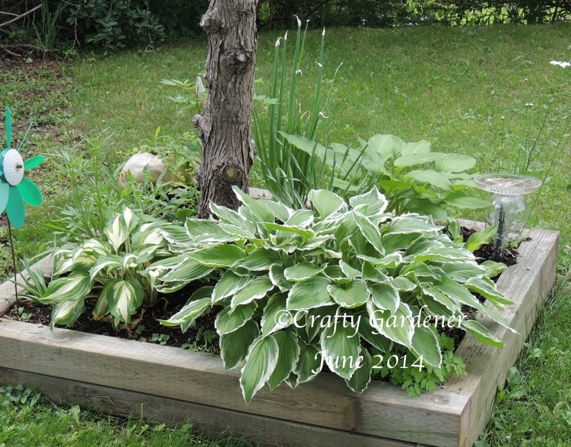 the sign post garden June 2014 - craftygardener.ca