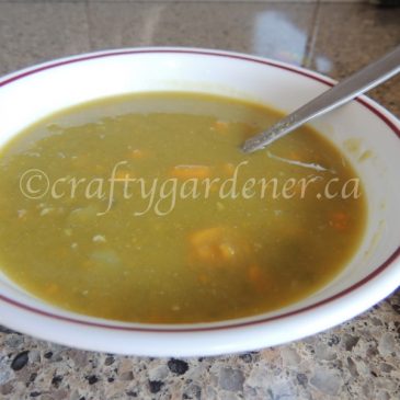 ‘Soup’er Recipe:  Split Pea and Potato Soup