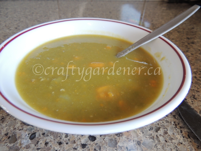 making split pea and potato soup at craftygardener.ca