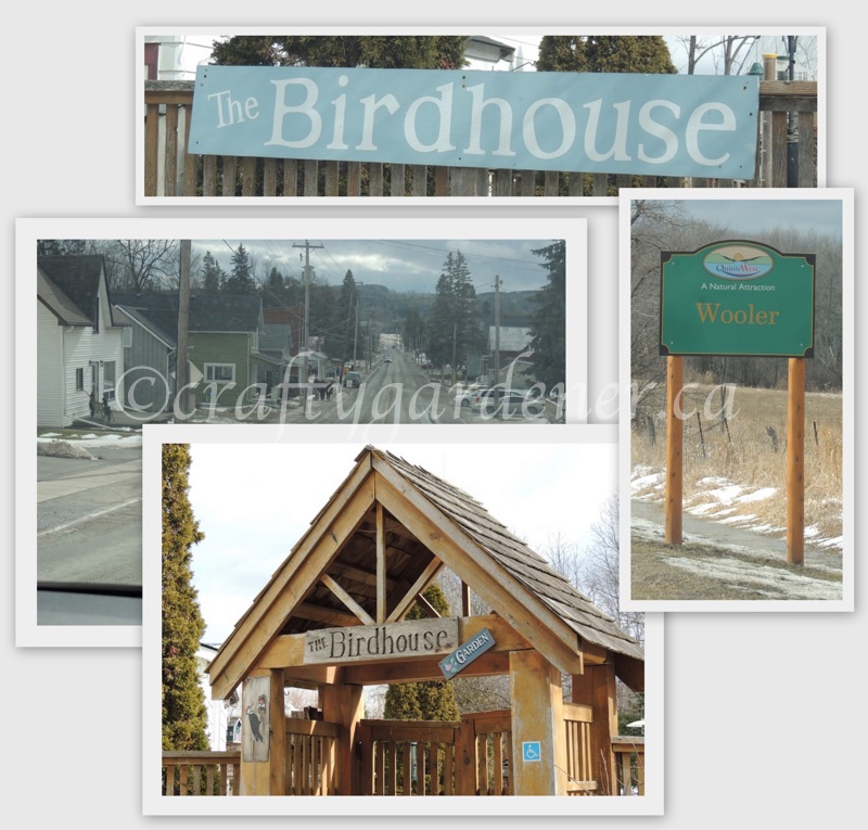 The Birdhouse store in Wooler, Ontario