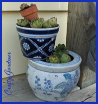 tipsy pots at craftygardener.ca