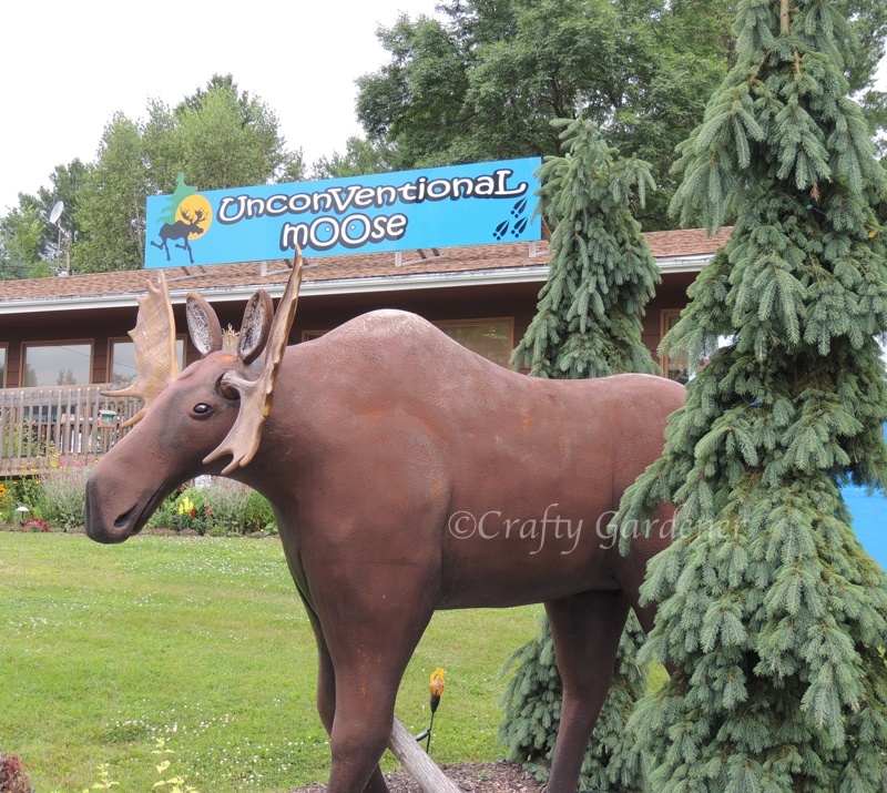 The UnconVentional mOOse