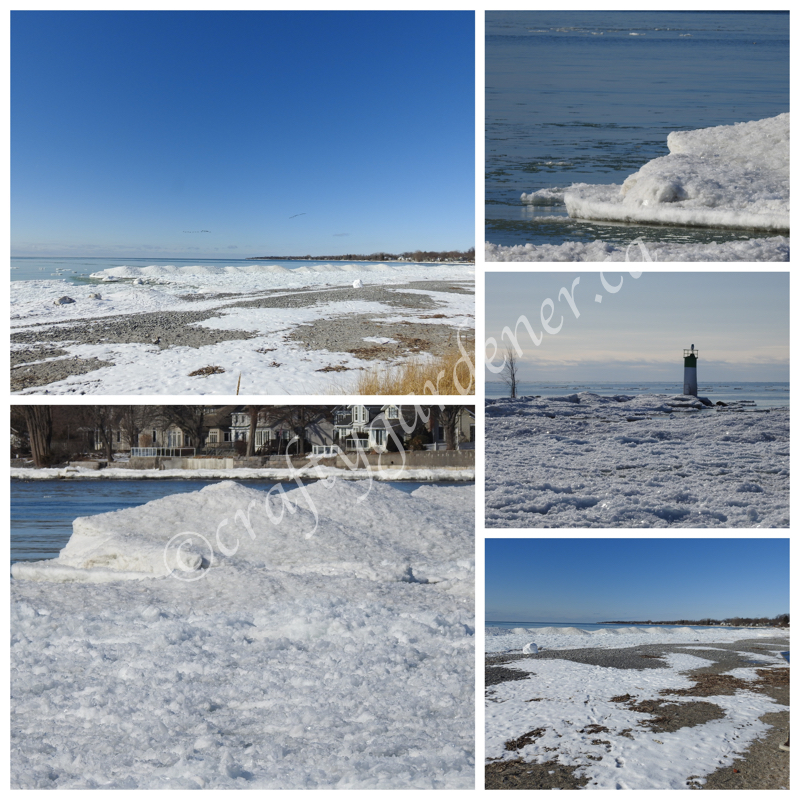 Wellington Beach, Ontario ice by craftygardener.ca