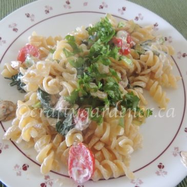 Recipe: Zucchini Pasta